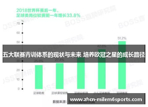 五大联赛青训体系的现状与未来 培养欧冠之星的成长路径