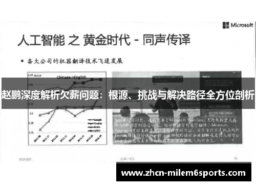 赵鹏深度解析欠薪问题：根源、挑战与解决路径全方位剖析