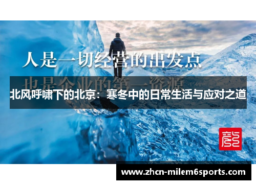 北风呼啸下的北京：寒冬中的日常生活与应对之道