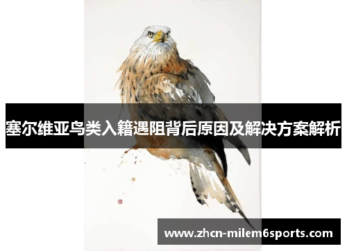 塞尔维亚鸟类入籍遇阻背后原因及解决方案解析